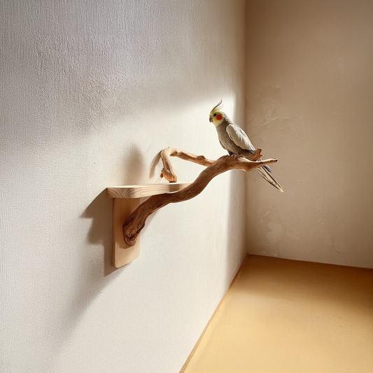 Organic Modern Wall Mounted Bird Perch For Home SINLSAFL093